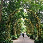 겨울에 만나는 초록빛 곶자왈, 제주 청수마을> 여행기사 | 추천! 가볼만한곳:대한민국 구석구석