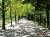 네이버페이 증권 네이처셀 토론글 - Npay 증권