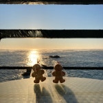 디너의여왕 - [서울 송파] 광화문물레방아연가 잠실점 11차