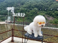충남 당진 여행, 가을로 떠나는 낭만 여행 코스> 여행기사 | |야간관광 밤밤곡곡:대한민국 구석구석