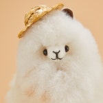 디너의여왕 - [서울 광진] 버릴게없소 12차