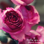 네이버페이 증권 이수화학 토론글 - Npay 증권