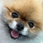 [강남 논현동] 프리미엄 드럼 레슨 (취미/입시/원데이) | 중고악기 뮬