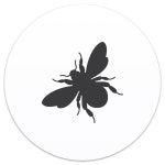 [홍대/합정] 취미밴드 드럼 & 베이스 구인합니다! | 중고악기 뮬