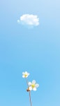 디너의여왕 - [서울 노원] 일공공샤브 공릉점 3차