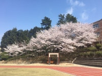 네이버페이 증권 코나아이 토론글 - Npay 증권