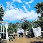 네이버페이 증권 사조오양 토론글 - Npay 증권