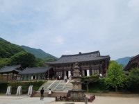 함양대봉산휴양밸리> 여행지 :대한민국 구석구석 함양대봉산휴양밸리> 여행지 :대한민국 구석구석 