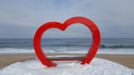 거제저도유람선> 여행지 :대한민국 구석구석 거제저도유람선> 여행지 :대한민국 구석구석 