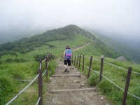 풀톤 풀드라이브2 모스펫 (Fulltone full-drive 2 MOSFET) 팝니다 | 중고악기 뮬