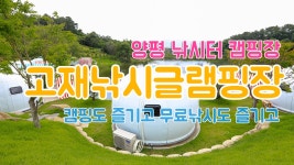 네이버 인플루언서 [네이버 인플루언서] 제다이 트래블양평의 양평고재낚시터