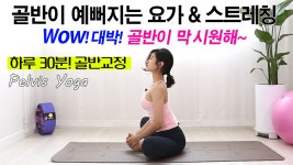 네이버 인플루언서 [네이버 인플루언서] 요가테라스의 골반교정운동