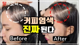 네이버 인플루언서 [네이버 인플루언서] 탈모언니의 커피염색