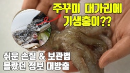 네이버 인플루언서 [네이버 인플루언서] 백년밥상의 쭈꾸미손질