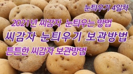 네이버 인플루언서 [네이버 인플루언서] 풀뿌리농장의 씨감자