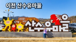 네이버 인플루언서 [네이버 인플루언서] 28청춘의 이천산수유마을