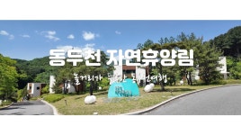 네이버 인플루언서 [네이버 인플루언서] 경기북부 여행의 동두천자연휴양림