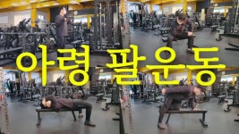 네이버 인플루언서 [네이버 인플루언서] 평택PT 버닝핏 임팩트의 삼두운동