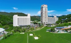 단지 안내 < 운영 안내 < 파크 안내 | 휘닉스 파크