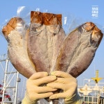 확대보기 | 백화점을 클릭하다. AK 몰