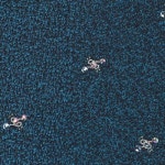 확대보기 | 백화점을 클릭하다. AK 몰