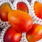 확대보기 | 백화점을 클릭하다. AK 몰