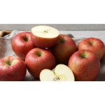 확대보기 | 백화점을 클릭하다. AK 몰