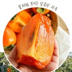 확대보기 | 백화점을 클릭하다. AK 몰