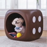 반려동물 겨울나기 통합전 | 백화점을 클릭하다. AK 몰