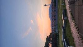 맘스킹 수려한합천 22년 햅쌀 합천농협 영호진미 단일미 등급상 10kg - 에누리 가격비교