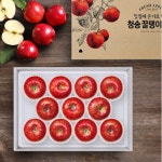 확대보기 | 백화점을 클릭하다. AK 몰