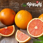 확대보기 | 백화점을 클릭하다. AK 몰