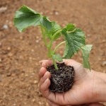 확대보기 | 백화점을 클릭하다. AK 몰