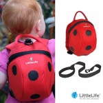 확대보기 | 백화점을 클릭하다. AK 몰