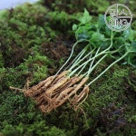 확대보기 | 백화점을 클릭하다. AK 몰