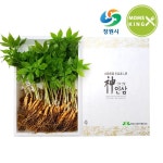 확대보기 | 백화점을 클릭하다. AK 몰