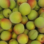 확대보기 | 백화점을 클릭하다. AK 몰