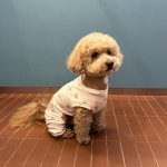 확대보기 | 백화점을 클릭하다. AK 몰