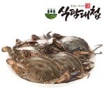 확대보기 | 백화점을 클릭하다. AK 몰