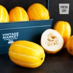 확대보기 | 백화점을 클릭하다. AK 몰