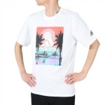 확대보기 | 백화점을 클릭하다. AK 몰