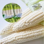 확대보기 | 백화점을 클릭하다. AK 몰