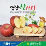 확대보기 | 백화점을 클릭하다. AK 몰