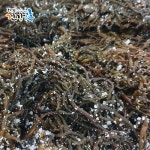 확대보기 | 백화점을 클릭하다. AK 몰