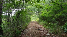 온오프믹스 :: 모임문화 플랫폼