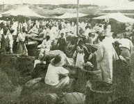 수원 - KRpia 검색결과