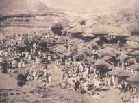 진주 - KRpia 검색결과