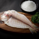 이제주섬영어조합법인 이제주섬 제주 옥돔(소) 450g [3개] - 에누리 가격비교