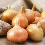 온도씨 가락시장 햇양파 1kg [1개] - 에누리 가격비교