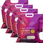 레드캣 슈퍼프리미엄 벤토나이트 6kg [4개] - 에누리 가격비교